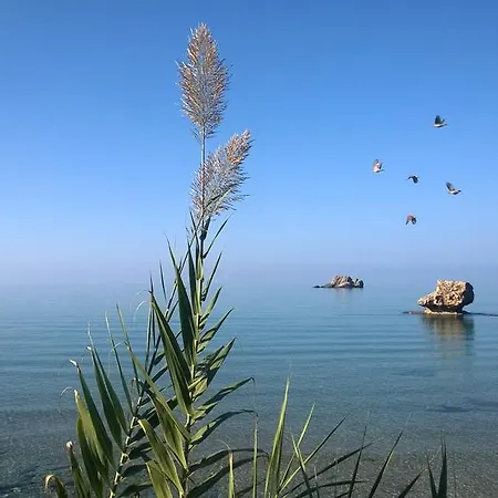 Апартаменты Yaliskari Пелекас